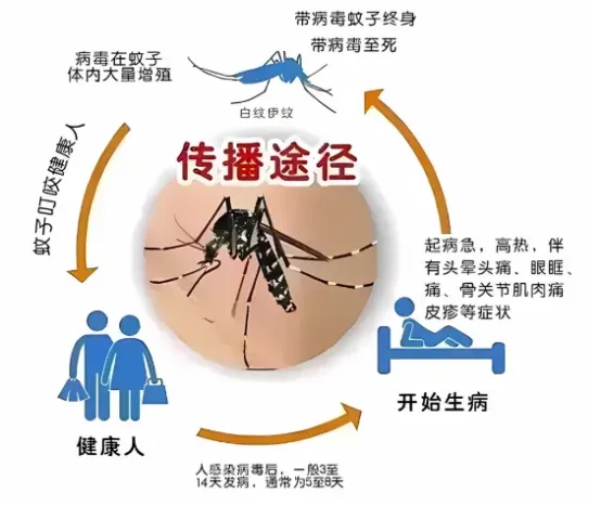 图片46.png