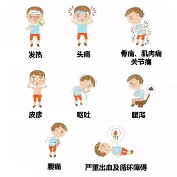 图片47.png