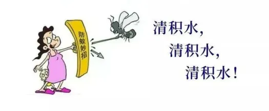 图片48.png