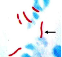 1773988443144037810.png 图片2.png