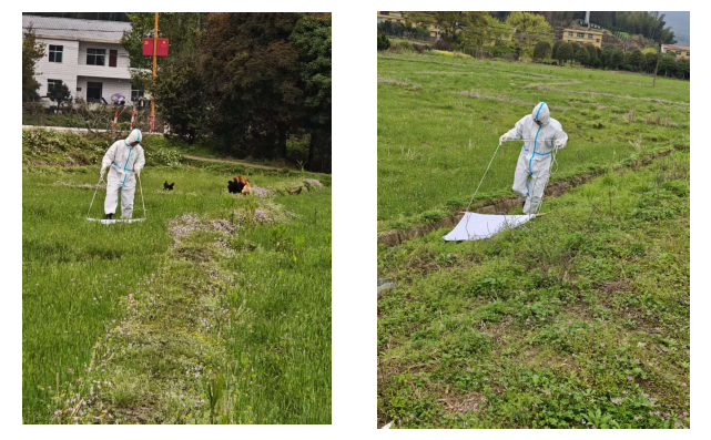 2026-03-31 16-23-14屏幕截图.png